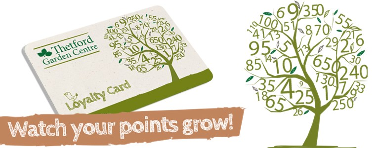 Loyalty Cards